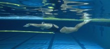 Lane Gainer Competitive Swim Belt : 30 ft. model -Assisted Swim pictured. Water-snake™ $50